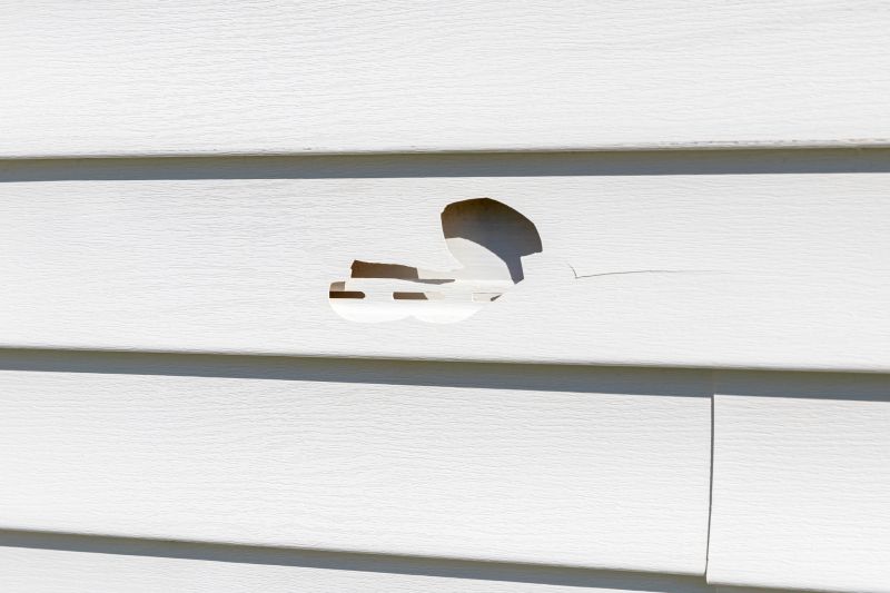 Vinyl Siding Repair Professional Image 1